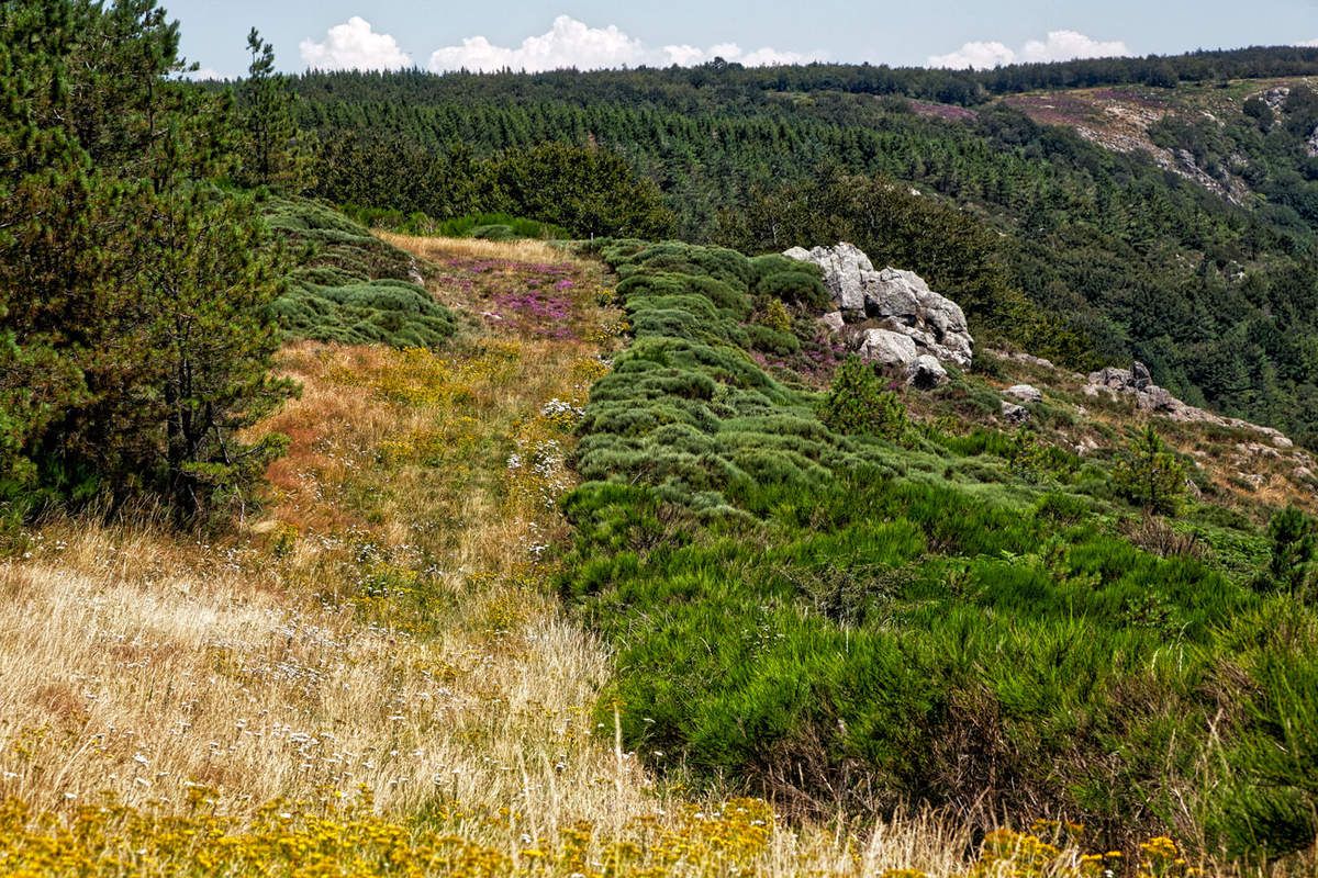 GR7- Col de Fontfroide