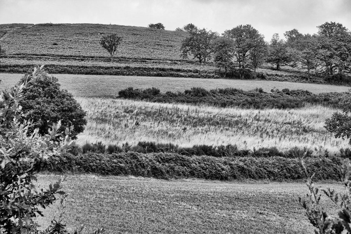 Les Monts de Lacaune
