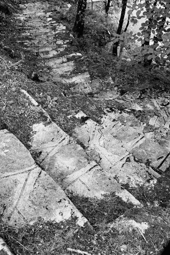 Les Monts de Lacaune