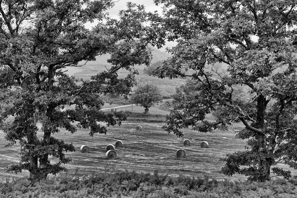 Les Monts de Lacaune