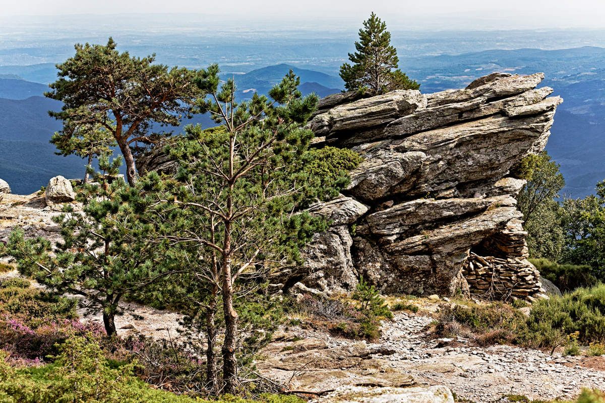 Le Caroux - Hérault - 2