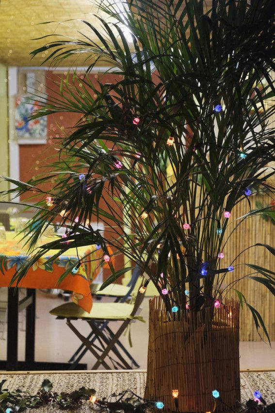 Fin décembre 2018 à Limoges - 1