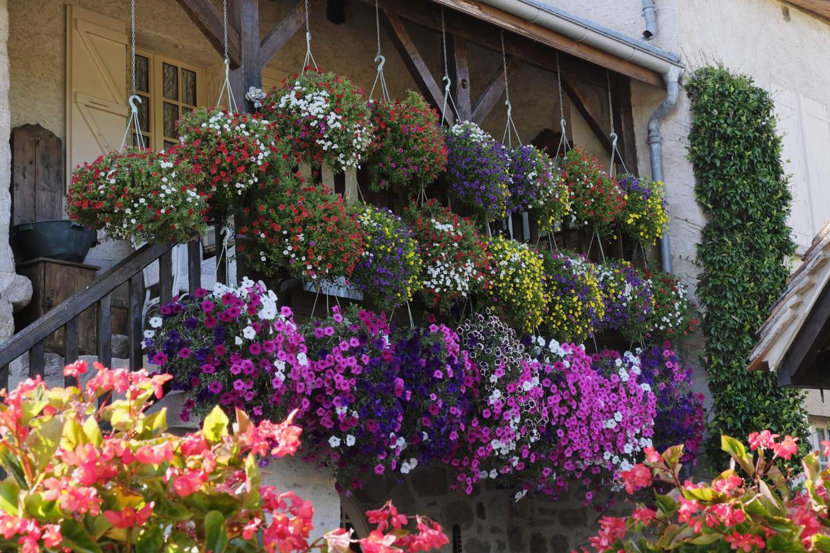 Curemonte - Corrèze - 1
