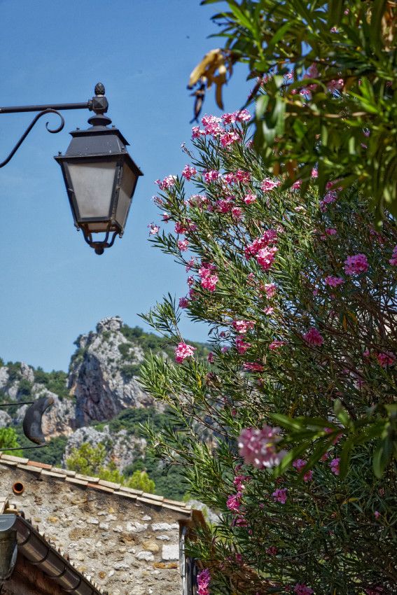 Saint-Guilhem-le-Désert - Hérault - 3