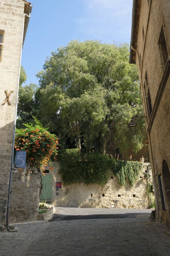 Pézenas - Hérault - 1