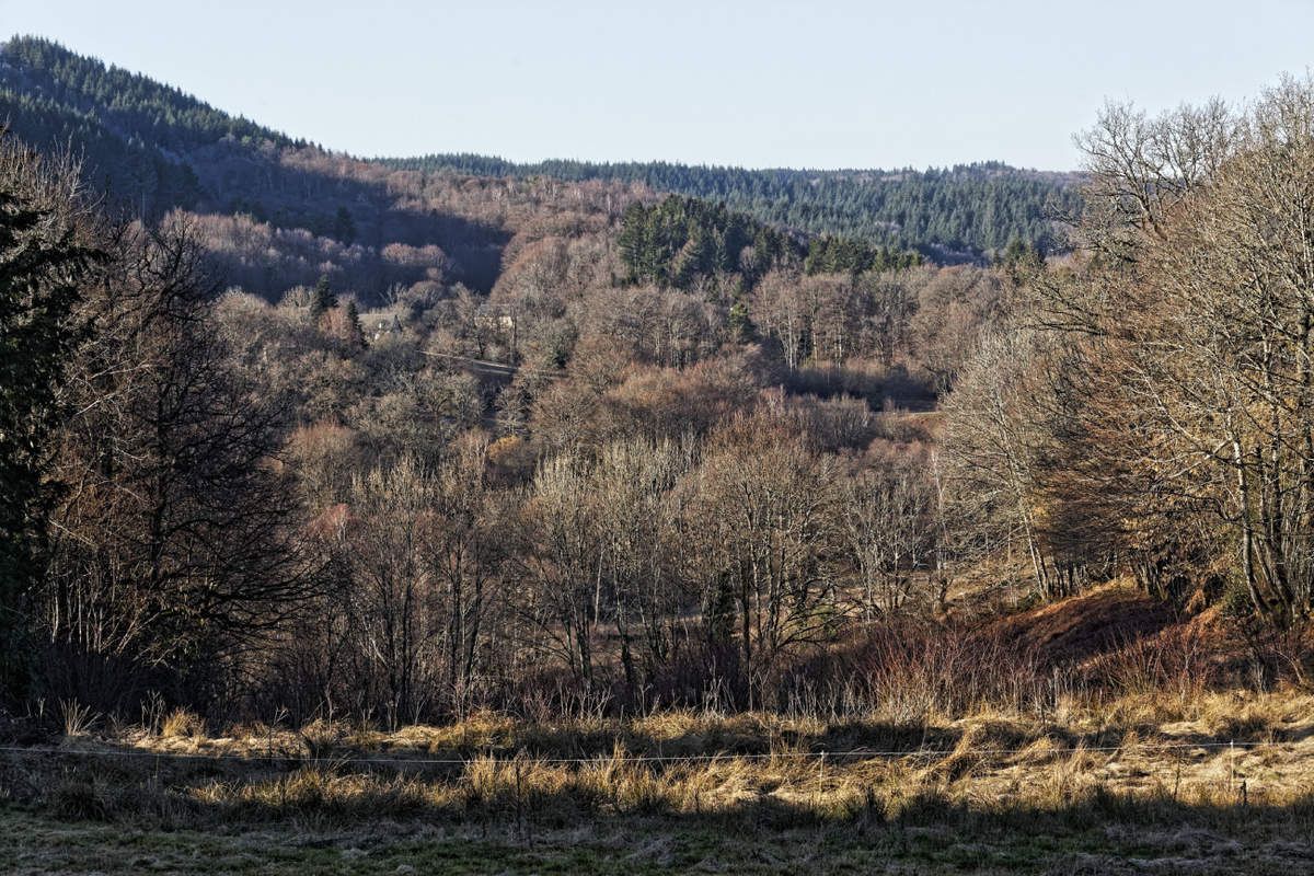 Chaumeil - Massif des Monédières - Corrèze