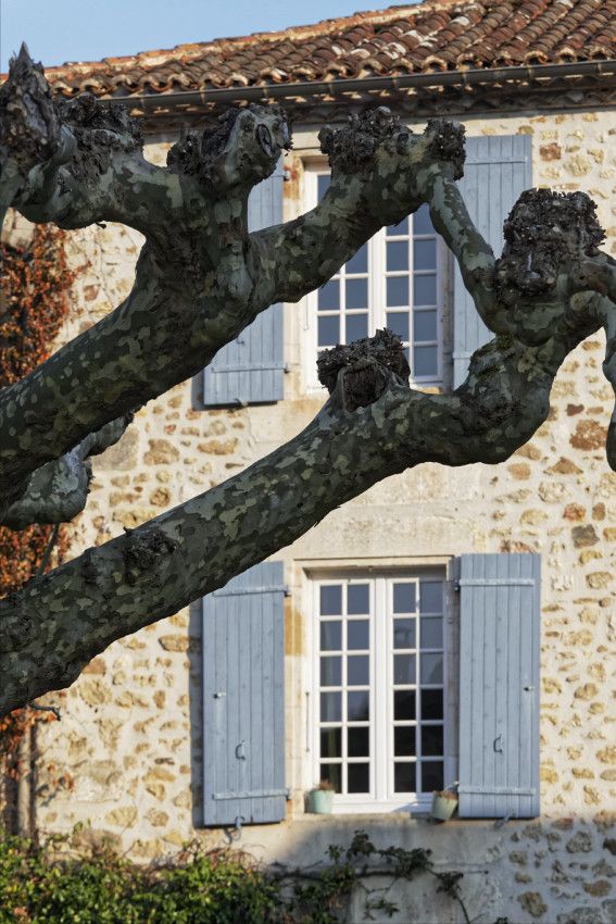 Saint-Jean-de-Côle  -  Dordogne  -  Périgord Vert