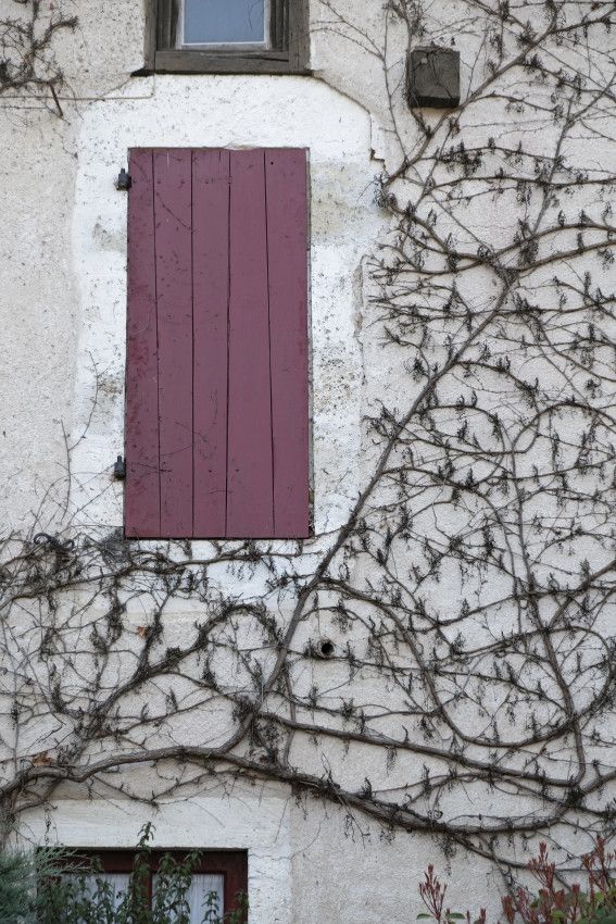 Saint-Jean-de-Côle  -  Dordogne  -  Périgord Vert