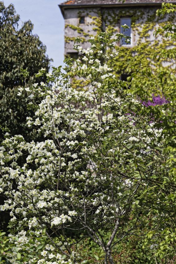 Le Jardin de Liliane - mai 2019