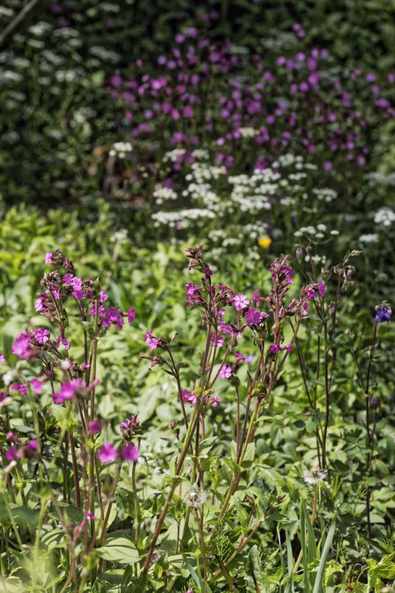 Le Jardin de Liliane - mai 2019