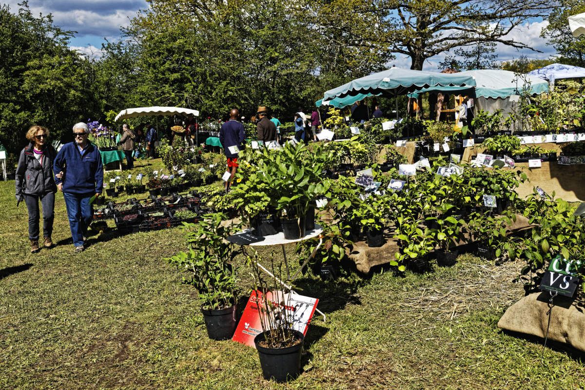 Arboretum de la Sédelle