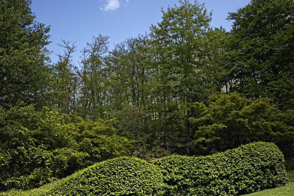 Arboretum de la Sédelle