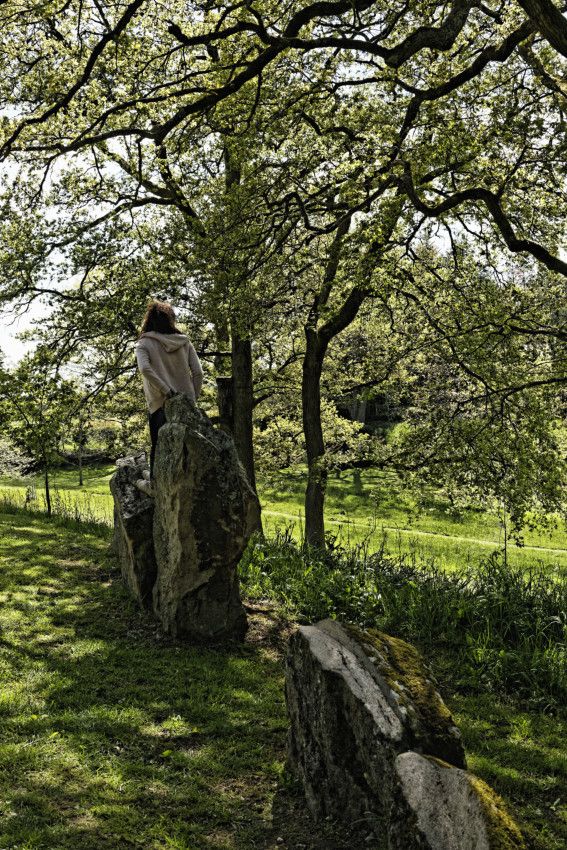 Arboretum de la Sédelle