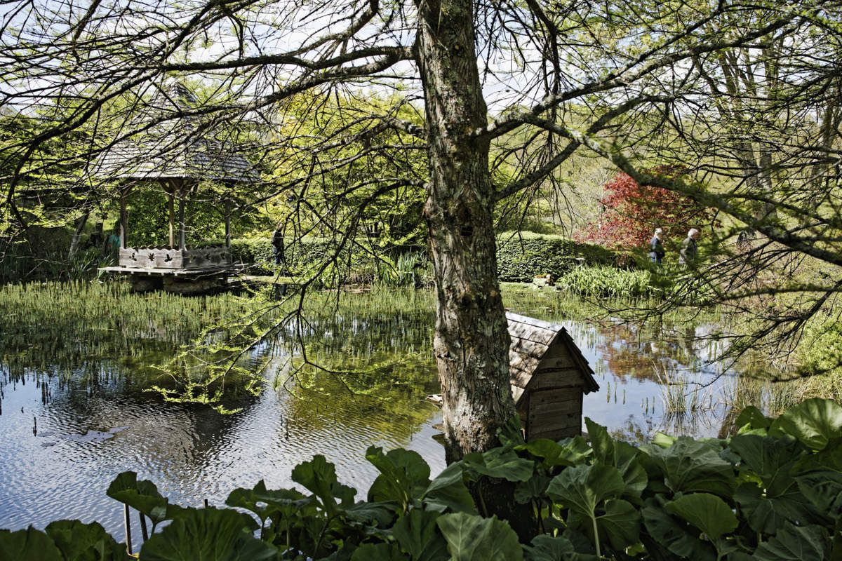 Arboretum de la Sédelle