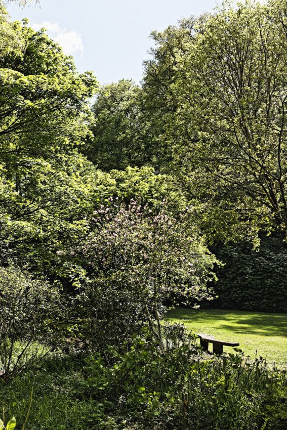 Arboretum de la Sédelle