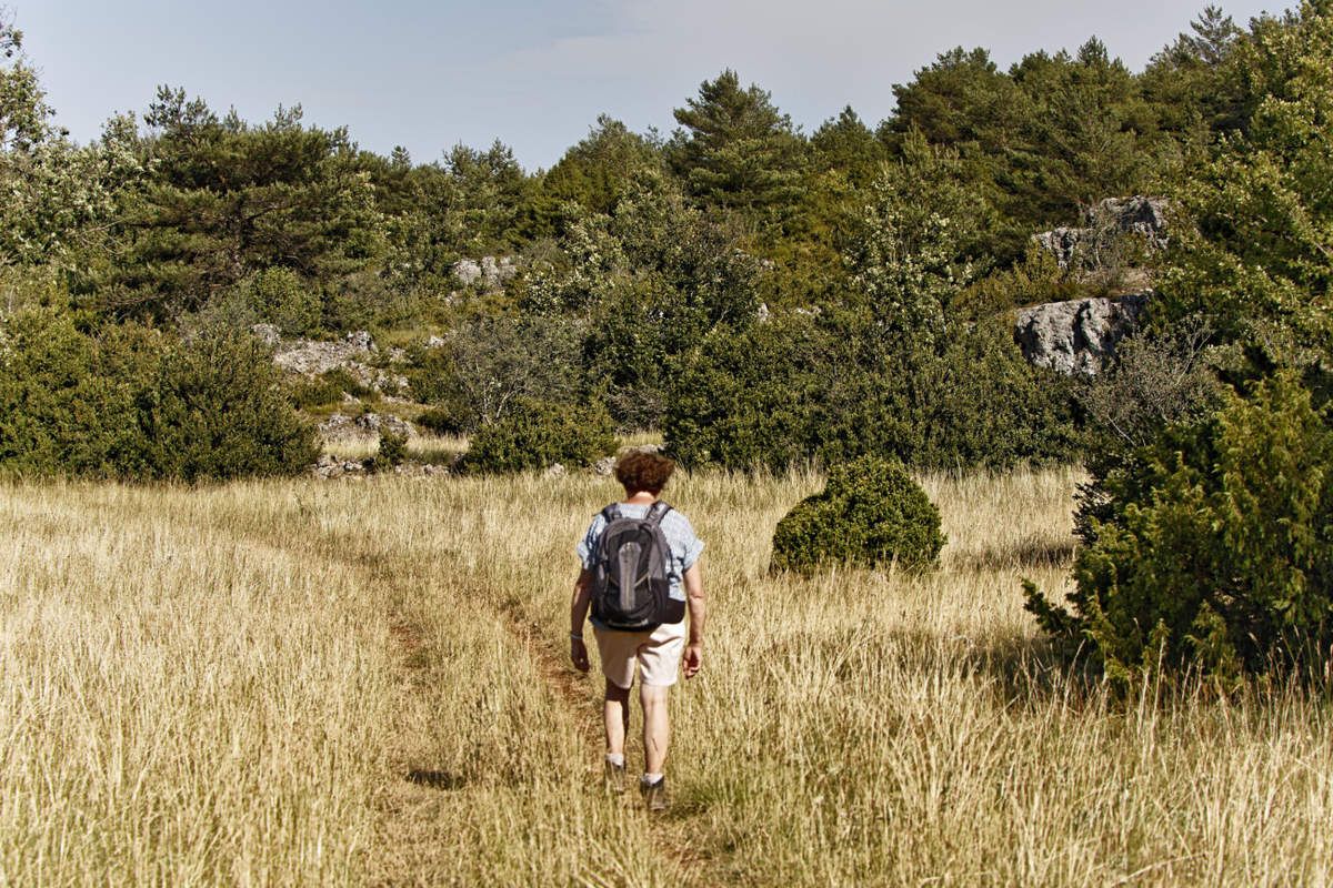 Le Larzac  -  Aveyron