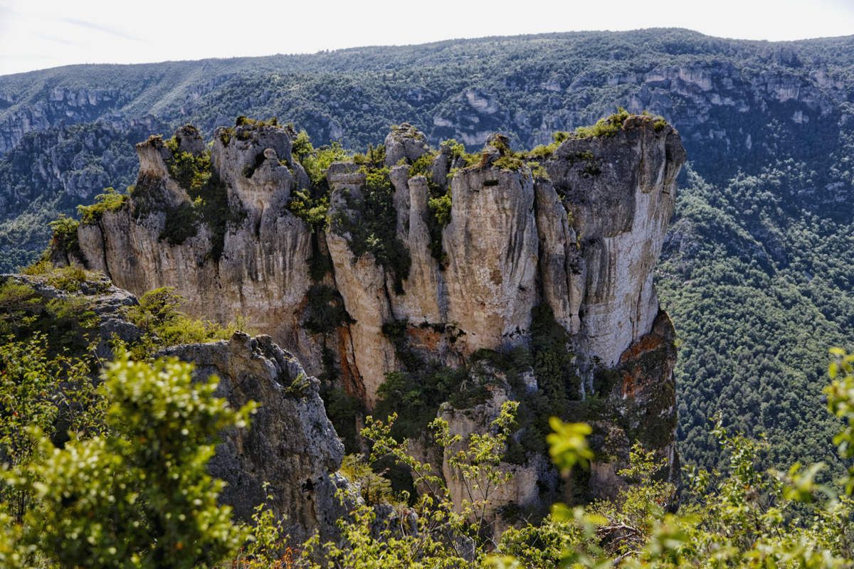 Les Gorges du Tarn - 2