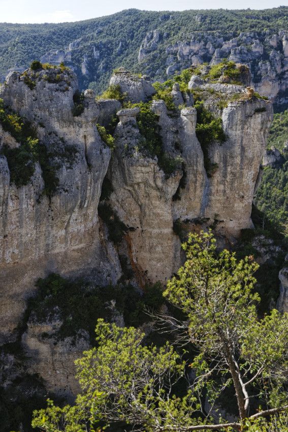 Les Gorges du Tarn - 2