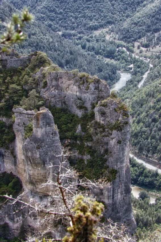 Les Gorges du Tarn - 2