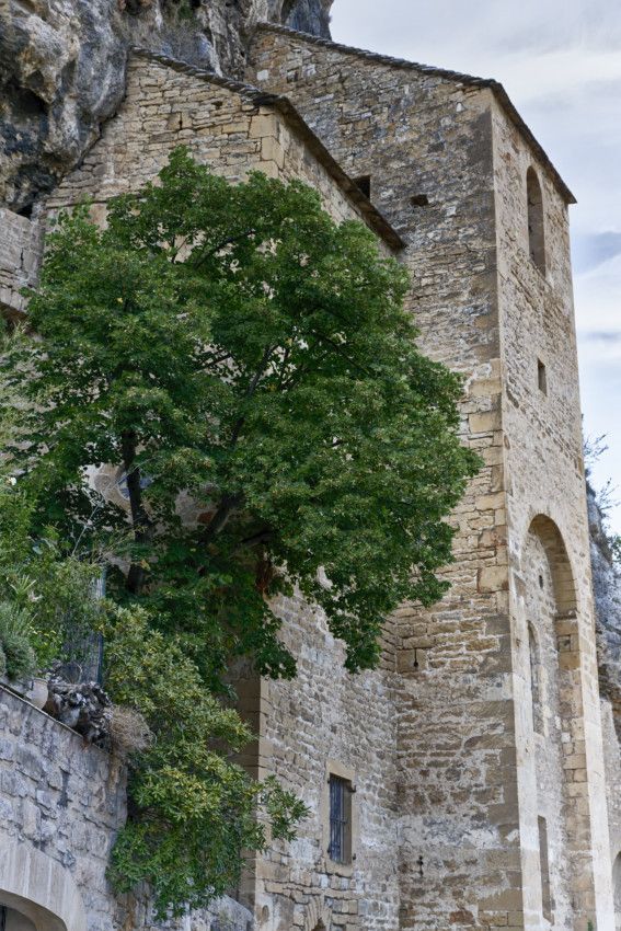 Peyre  -  Aveyron