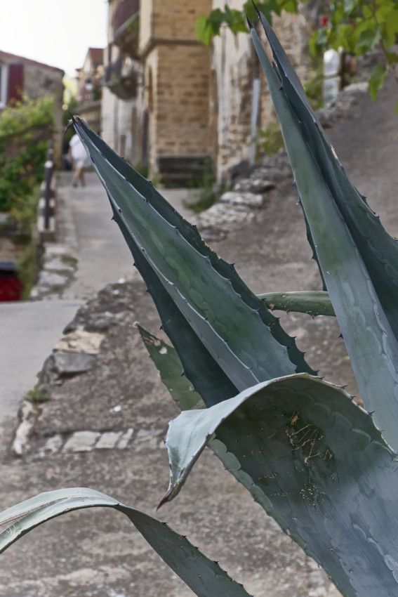 Peyre  -  Aveyron