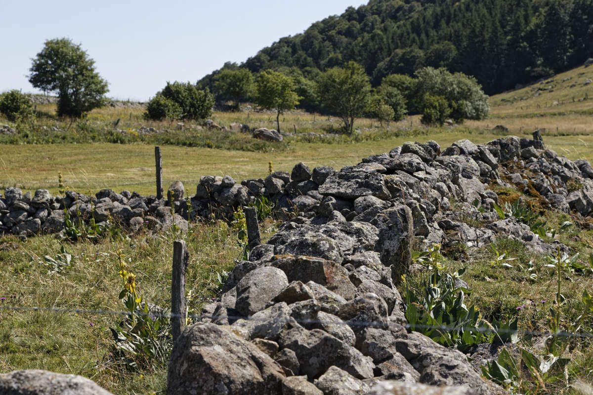 L'Aubrac Lozérien - 1