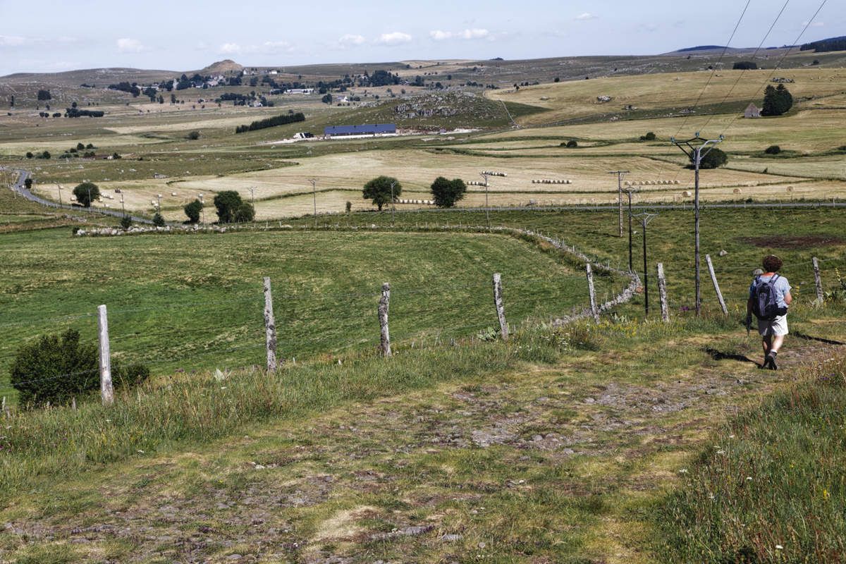 L'Aubrac  Lozérien - 2