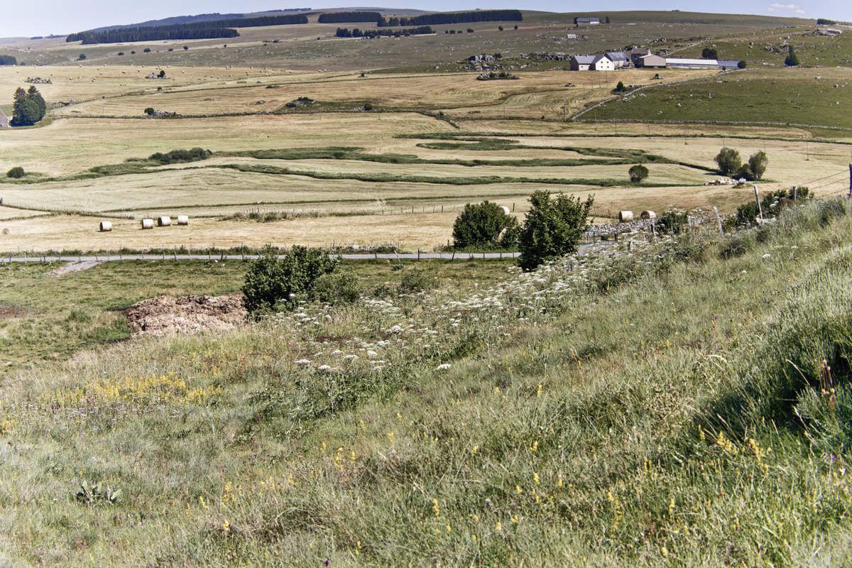 L'Aubrac  Lozérien - 2