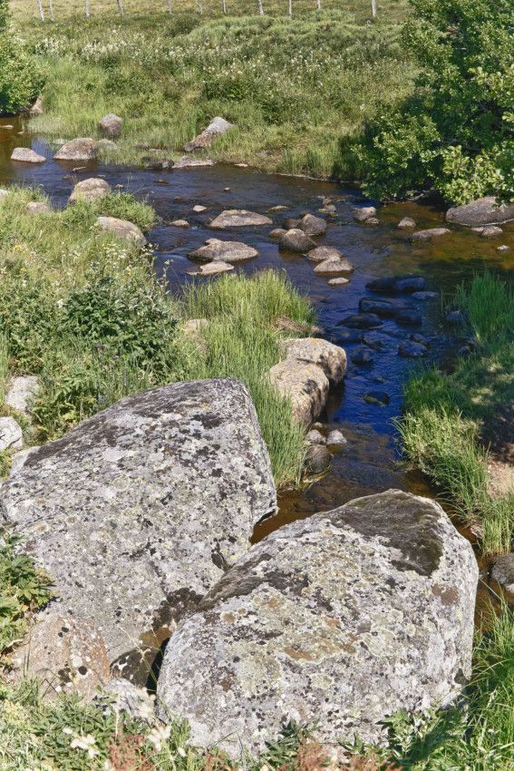L'Aubrac  Lozérien - 2