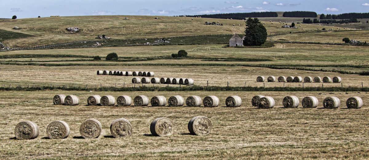 L'Aubrac  Lozérien - 2
