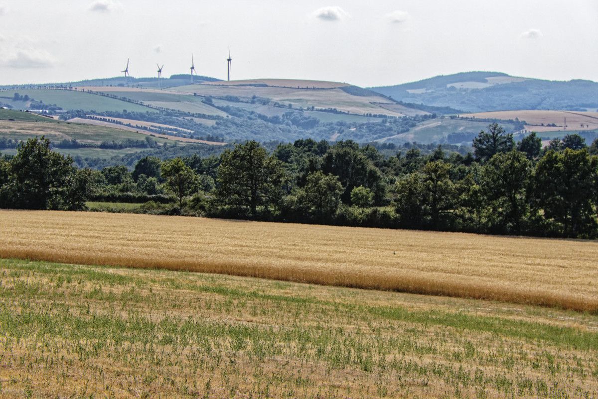 Les sources de l'Aveyron