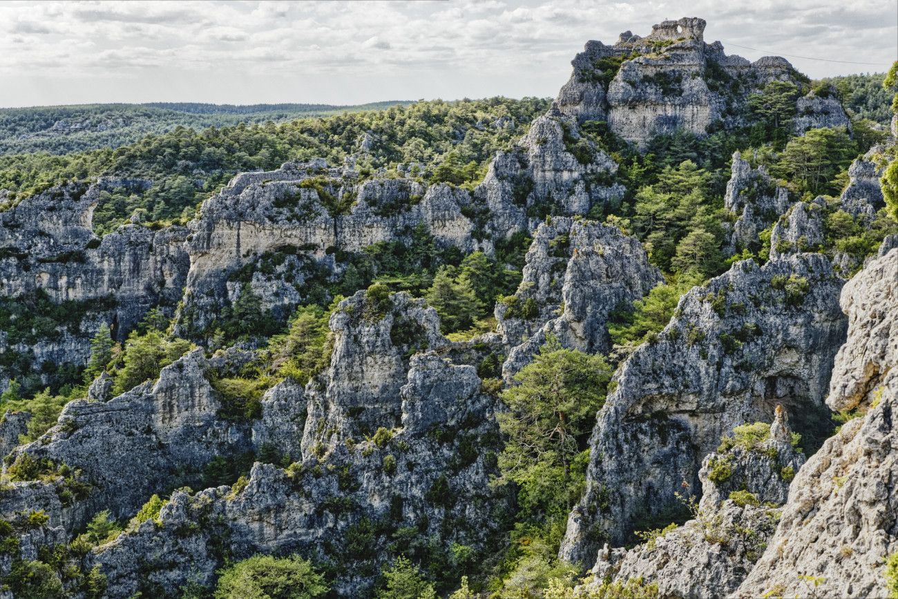 Chaos de Montpellier-le-Vieux Aveyron