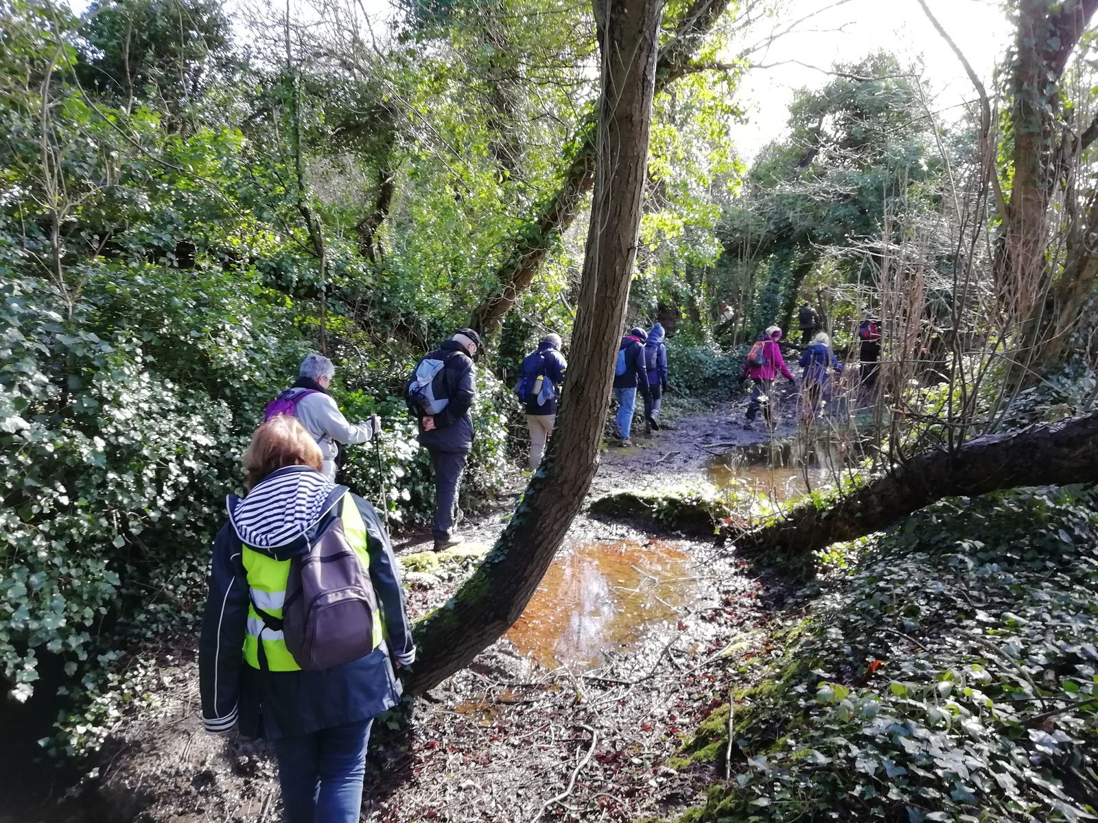 Pêle-Mêle hiver 2020 ...