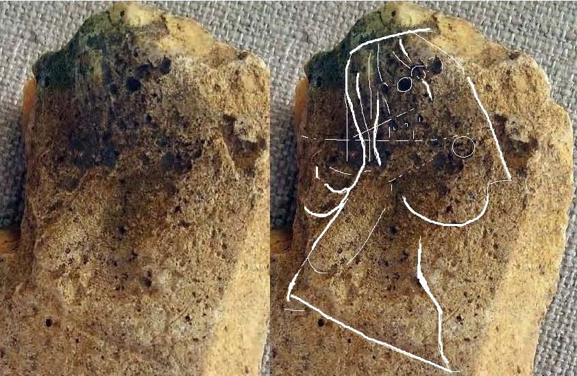 os gravé magdalenien portrait chien loup phoque - engraved bone magdalenian dog wolf seal cheval horse