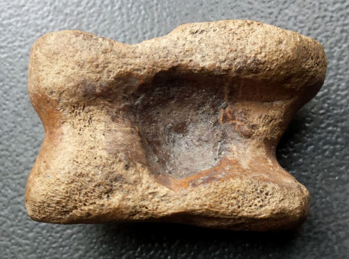 lampe paleolithique paleolithic lamp huile oil fingerprint neandertal