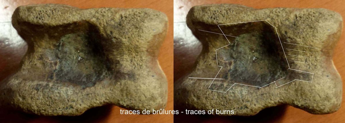 lampe paleolithique paleolithic lamp huile oil fingerprint neandertal