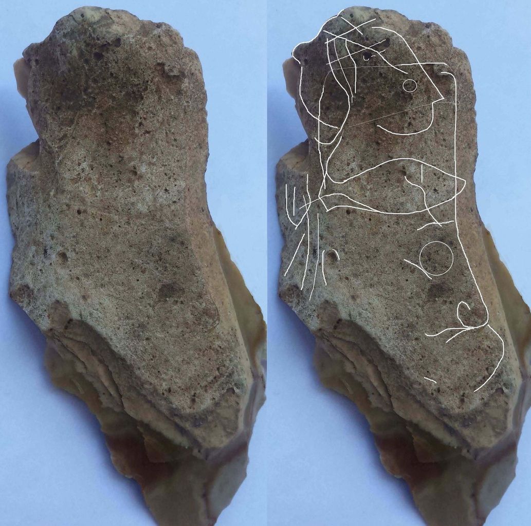 os gravé magdalenien portrait chien loup phoque - engraved bone magdalenian dog wolf seal cheval horse