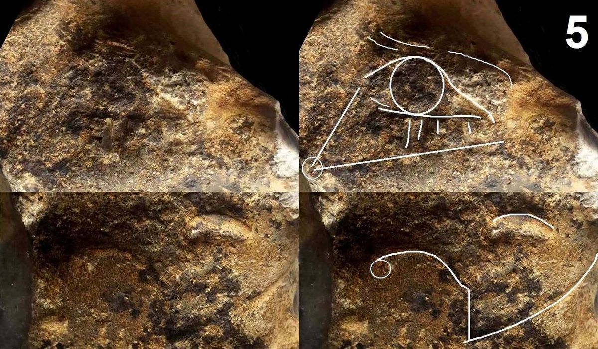 portrait mousterien neandertal paleolithique mousterian neanderthal paleolithic