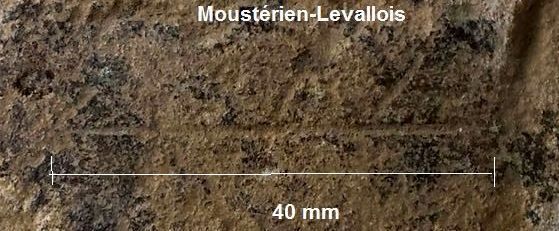 gravures engraving representation mousterien mousterian cheval horse felin portrait humain neandertal neanderthal