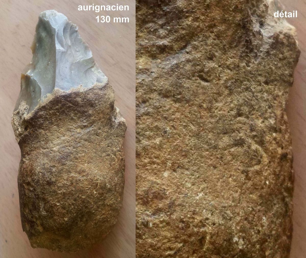 aurignacien aurignacian horse bear cheval ours paleolithique paleolithic