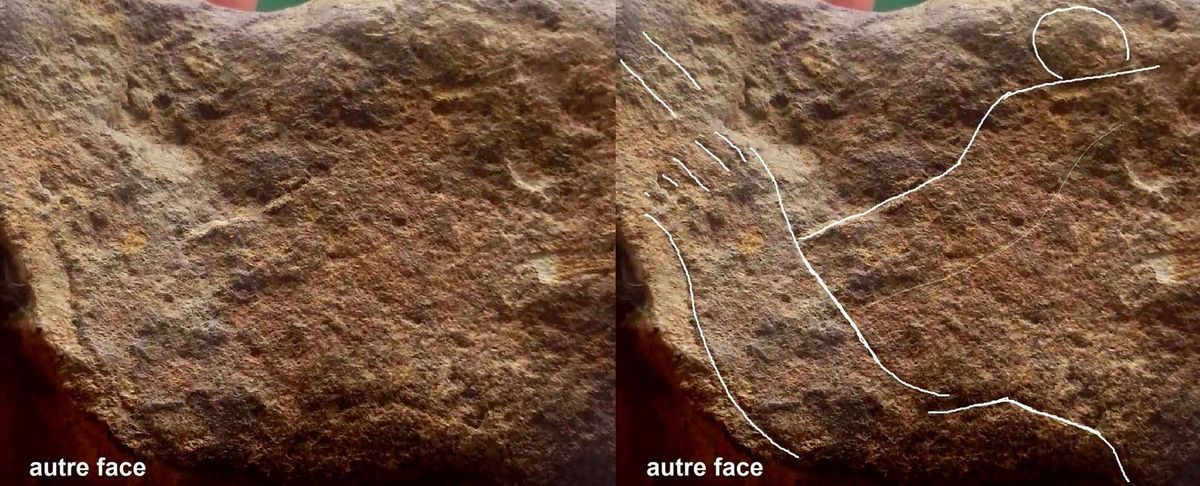 aurignacien, cortex gravé ours aurignacian bear paleolithique, paleolithic