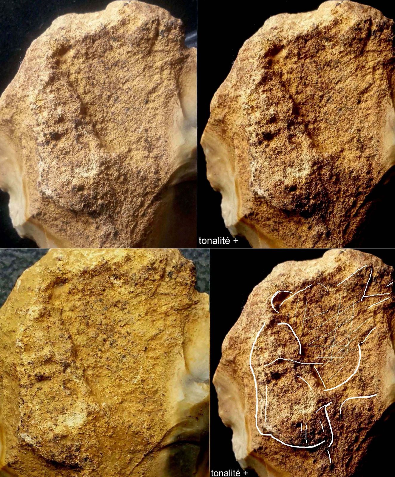 neandertal artiste, mousterien, saint-brice-sous râne