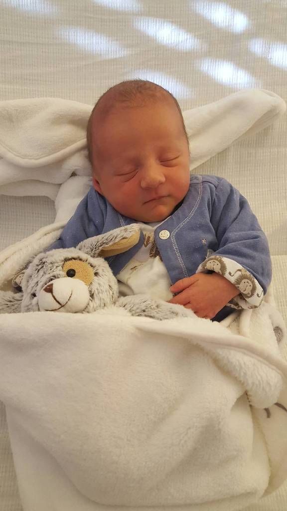 Un Bebe Luciole Est Arrive Le Coin Des Lucioles Un Bebe Luciole Est Arrive Le Coin Des Lucioles