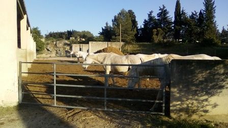 Centre equestre.