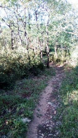 Un sentier....