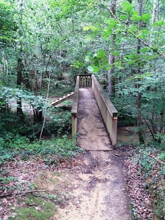 Hopital-Saint-Blaise : chemin et pont forestier.