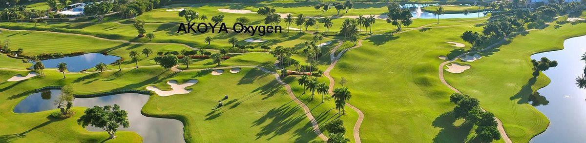 Akoya oxygen Dubai - 3/4/5/6 BED VILLAS