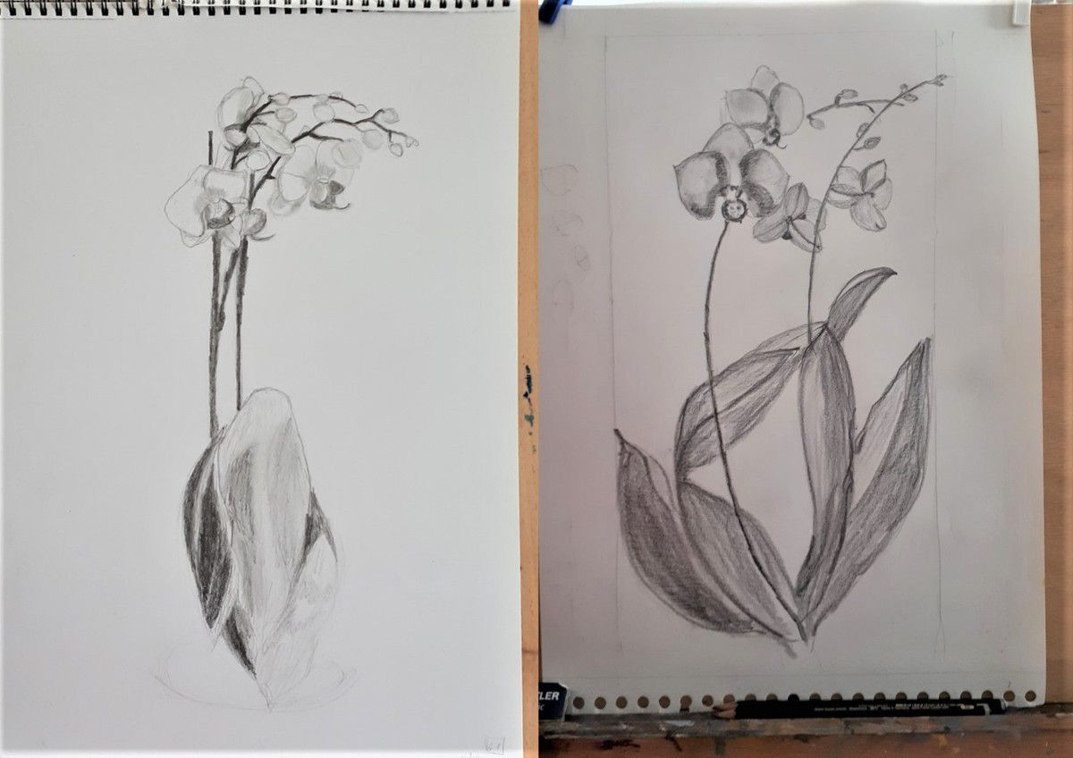 À nouveau des fleurs pour le cours de bases de dessin en mars !