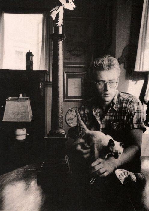 James Dean and is cat