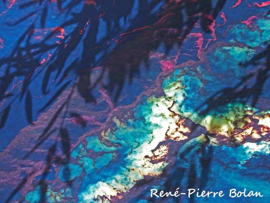 Avec,en plus, l'ombre d'un rameau de saule.